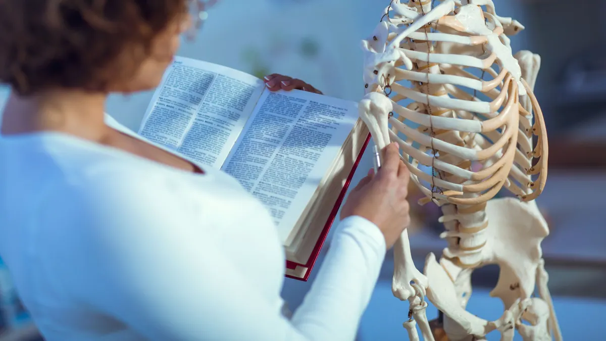 Anatomik pozisyon: eğitmen insan iskeleti modeli üzerinden anatomi anlatıyor